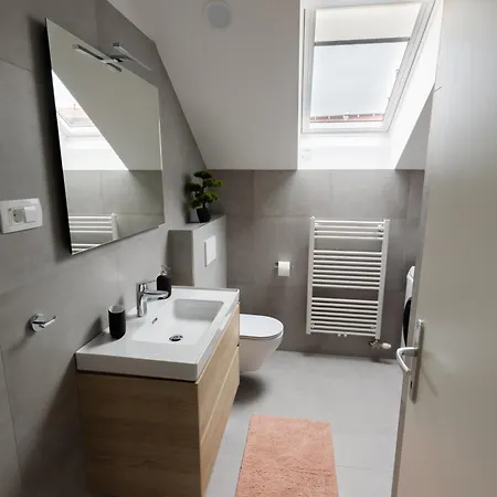 公寓 Ajda 布莱德